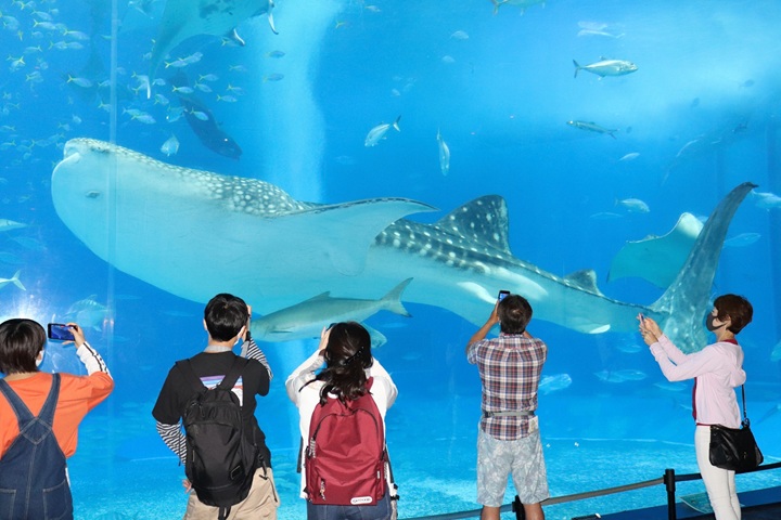 水族館