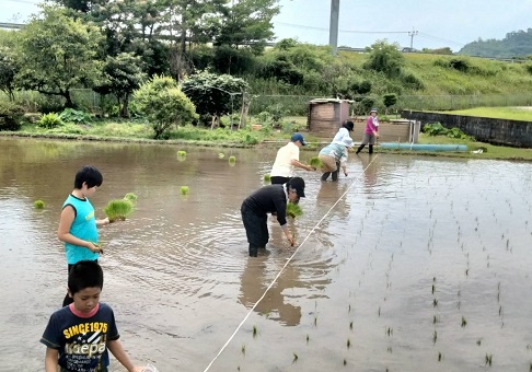 たんぼ